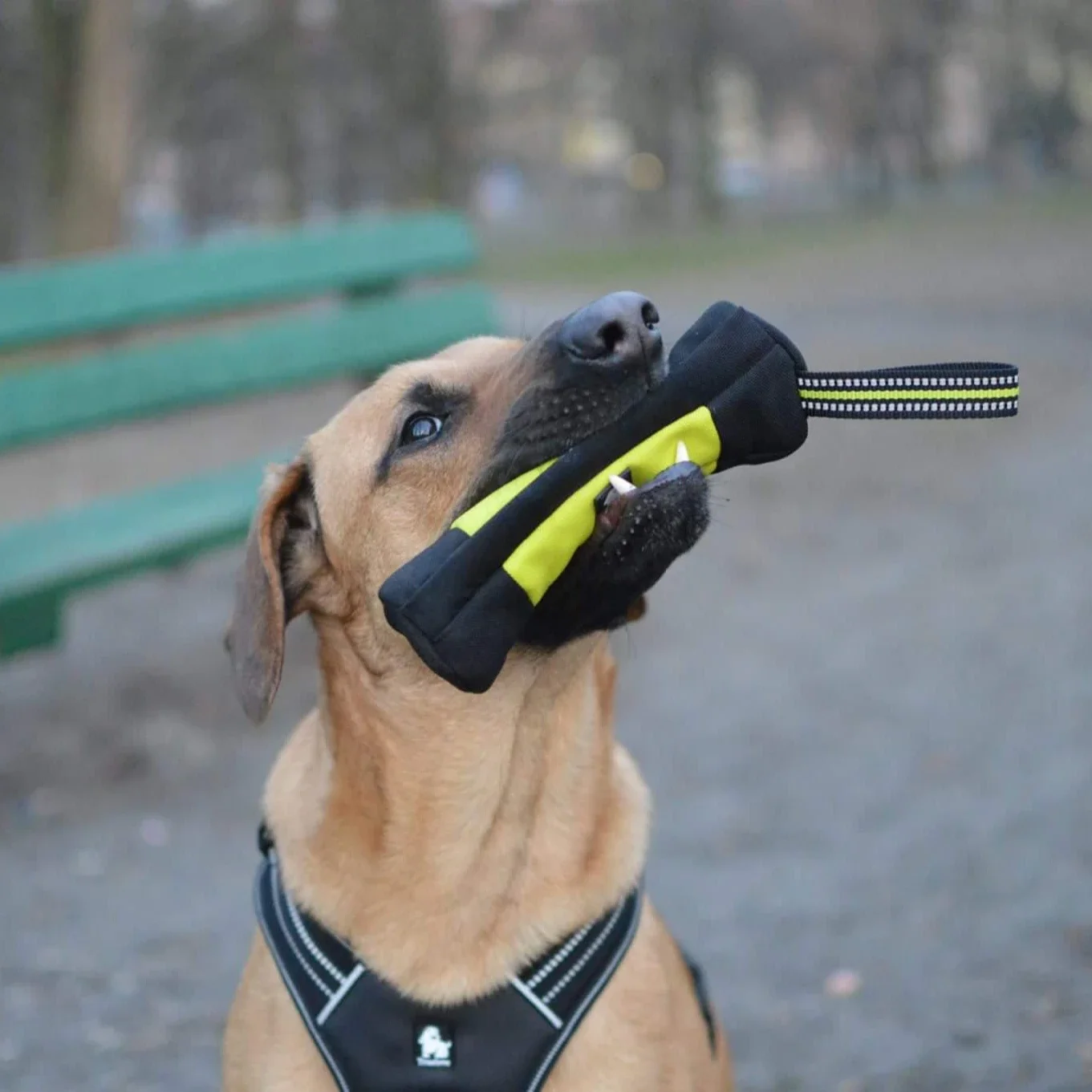Truelove Dog Training Retrieve - Quality Food Snacks reseña y precio